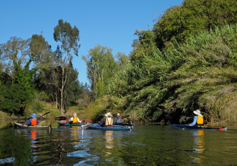 Kayaking Napa River in Northern California